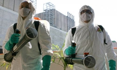 борьба с насекомыми